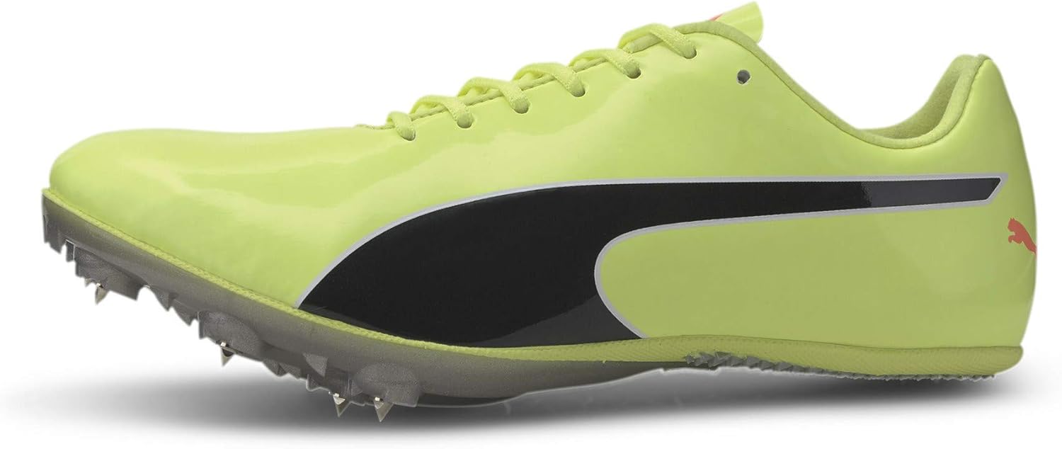 <strong>PUMA</strong><br> Evospeed Sprint 10